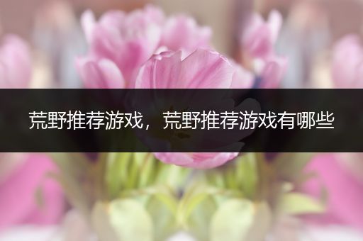荒野推荐游戏，荒野推荐游戏有哪些
