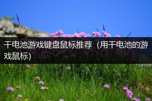 干电池游戏键盘鼠标推荐（用干电池的游戏鼠标）