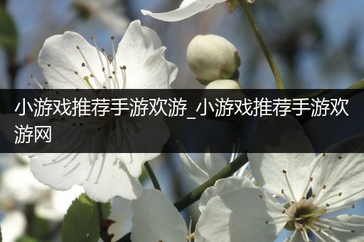 小游戏推荐手游欢游_小游戏推荐手游欢游网
