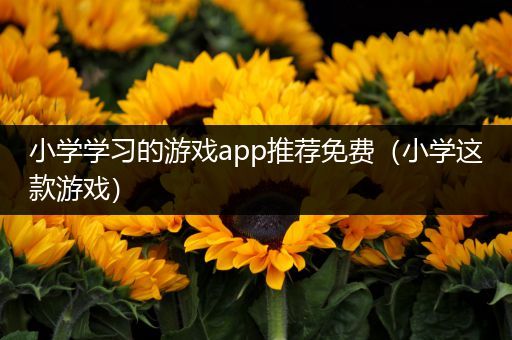 小学学习的游戏app推荐免费（小学这款游戏）