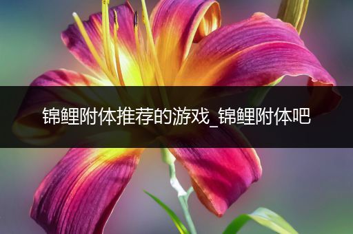 锦鲤附体推荐的游戏_锦鲤附体吧