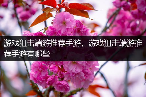 游戏狙击端游推荐手游，游戏狙击端游推荐手游有哪些