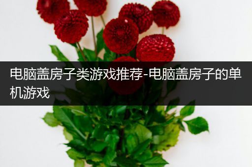 电脑盖房子类游戏推荐-电脑盖房子的单机游戏