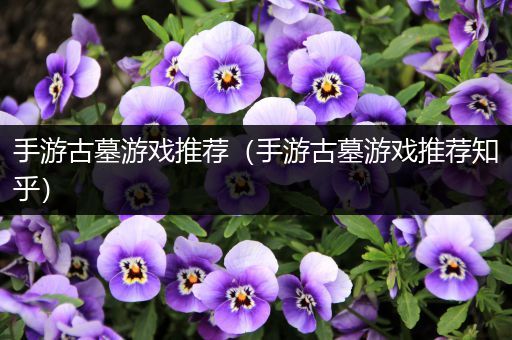 手游古墓游戏推荐（手游古墓游戏推荐知乎）