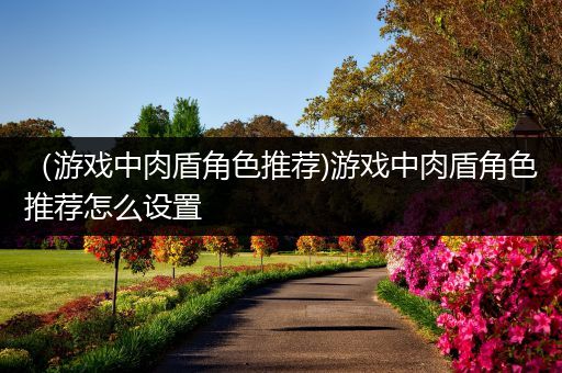 （游戏中肉盾角色推荐)游戏中肉盾角色推荐怎么设置