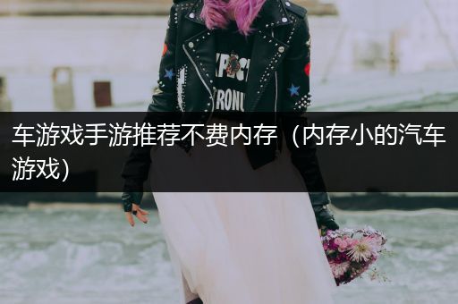 车游戏手游推荐不费内存（内存小的汽车游戏）