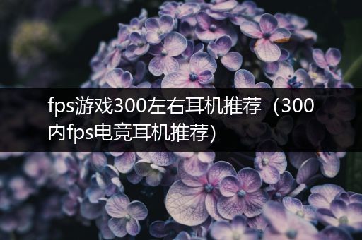 fps游戏300左右耳机推荐（300内fps电竞耳机推荐）