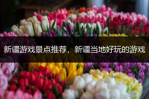 新疆游戏景点推荐，新疆当地好玩的游戏