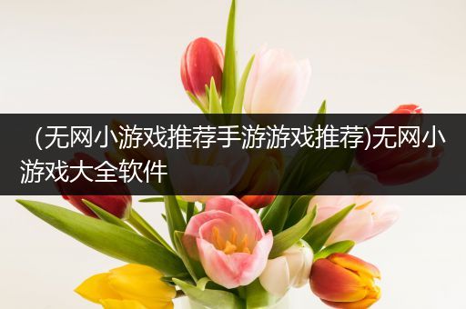 （无网小游戏推荐手游游戏推荐)无网小游戏大全软件