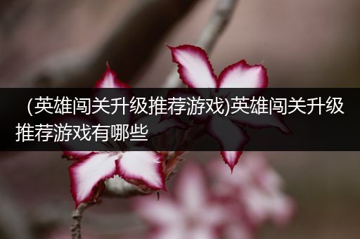 （英雄闯关升级推荐游戏)英雄闯关升级推荐游戏有哪些