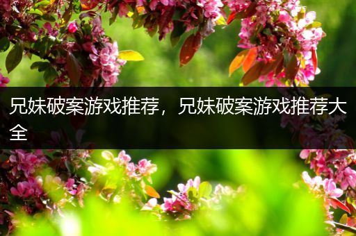 兄妹破案游戏推荐，兄妹破案游戏推荐大全