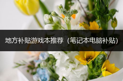 地方补贴游戏本推荐（笔记本电脑补贴）