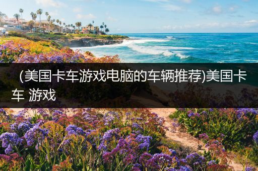 （美国卡车游戏电脑的车辆推荐)美国卡车 游戏