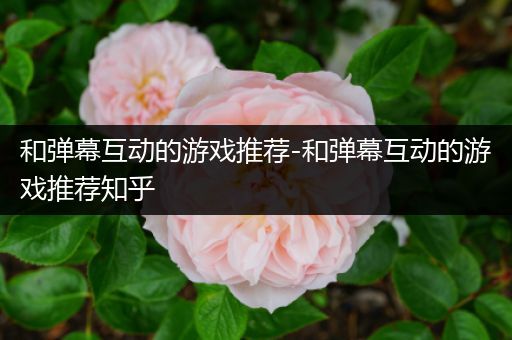 和弹幕互动的游戏推荐-和弹幕互动的游戏推荐知乎