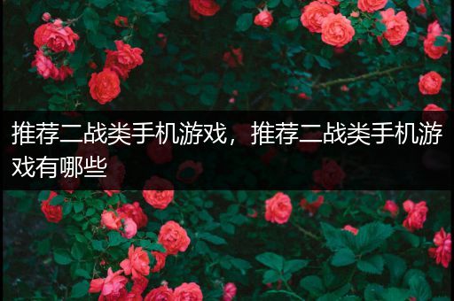 推荐二战类手机游戏，推荐二战类手机游戏有哪些