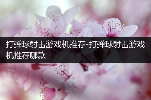 打弹球射击游戏机推荐-打弹球射击游戏机推荐哪款
