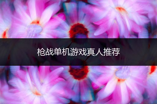 枪战单机游戏真人推荐