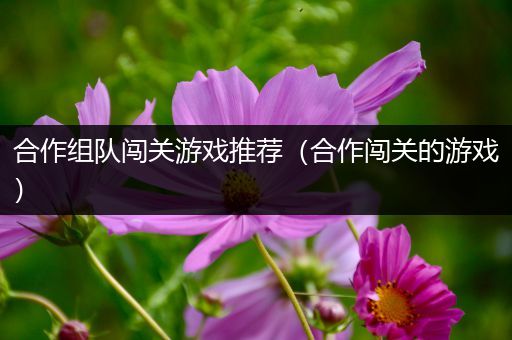 合作组队闯关游戏推荐（合作闯关的游戏）