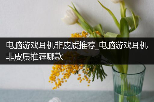 电脑游戏耳机非皮质推荐_电脑游戏耳机非皮质推荐哪款