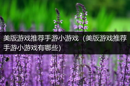 美版游戏推荐手游小游戏（美版游戏推荐手游小游戏有哪些）