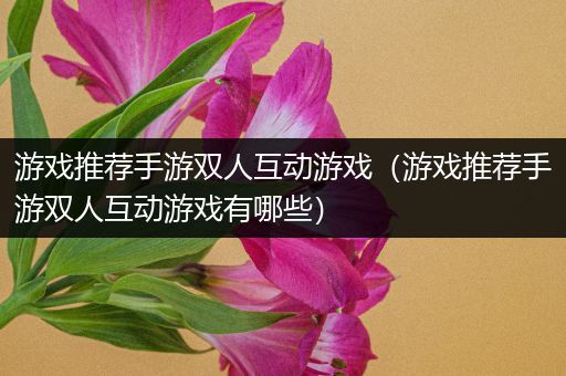 游戏推荐手游双人互动游戏（游戏推荐手游双人互动游戏有哪些）