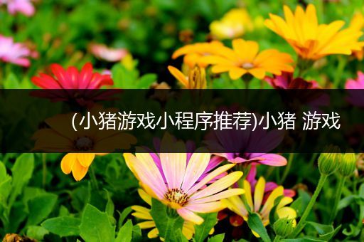 （小猪游戏小程序推荐)小猪 游戏