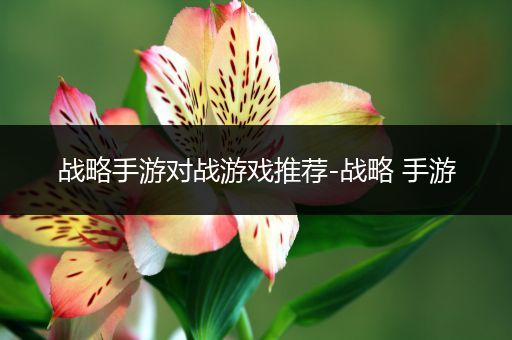 战略手游对战游戏推荐-战略 手游