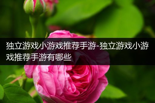 独立游戏小游戏推荐手游-独立游戏小游戏推荐手游有哪些