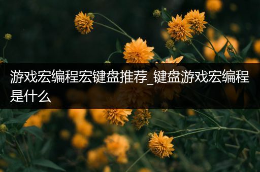 游戏宏编程宏键盘推荐_键盘游戏宏编程是什么
