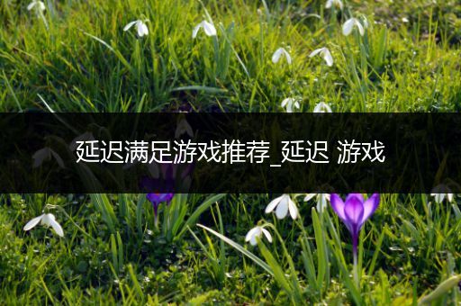 延迟满足游戏推荐_延迟 游戏