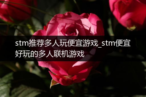 stm推荐多人玩便宜游戏_stm便宜好玩的多人联机游戏