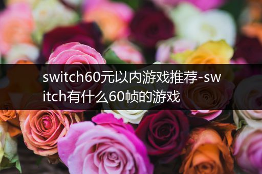 switch60元以内游戏推荐-switch有什么60帧的游戏