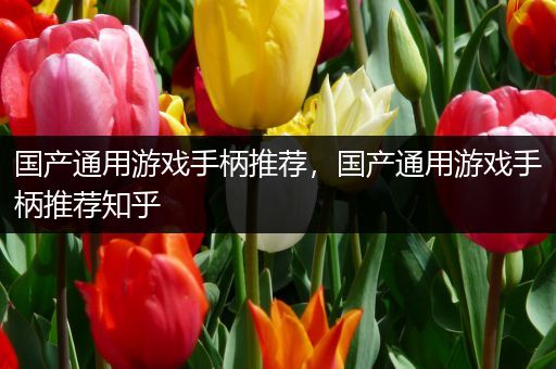 国产通用游戏手柄推荐，国产通用游戏手柄推荐知乎
