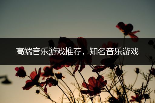 高端音乐游戏推荐，知名音乐游戏