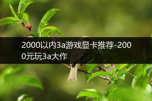 2000以内3a游戏显卡推荐-2000元玩3a大作