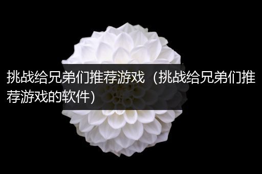 挑战给兄弟们推荐游戏（挑战给兄弟们推荐游戏的软件）