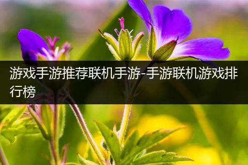 游戏手游推荐联机手游-手游联机游戏排行榜