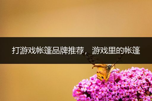 打游戏帐篷品牌推荐，游戏里的帐篷