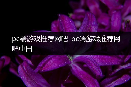 pc端游戏推荐网吧-pc端游戏推荐网吧中国