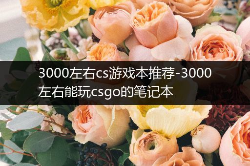 3000左右cs游戏本推荐-3000左右能玩csgo的笔记本