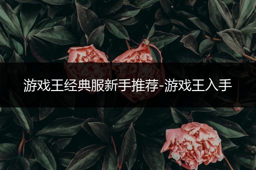游戏王经典服新手推荐-游戏王入手