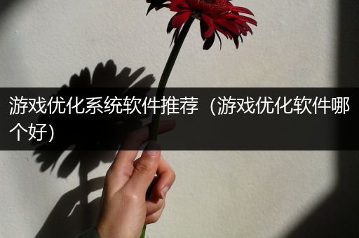 游戏优化系统软件推荐（游戏优化软件哪个好）