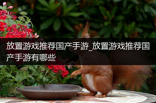 放置游戏推荐国产手游_放置游戏推荐国产手游有哪些