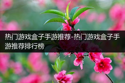 热门游戏盒子手游推荐-热门游戏盒子手游推荐排行榜