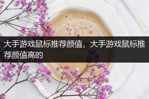 大手游戏鼠标推荐颜值，大手游戏鼠标推荐颜值高的