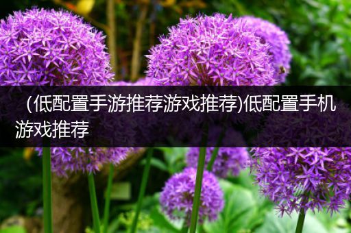 （低配置手游推荐游戏推荐)低配置手机游戏推荐