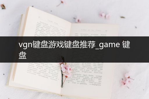 vgn键盘游戏键盘推荐_game 键盘
