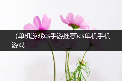 （单机游戏cs手游推荐)cs单机手机游戏