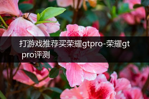 打游戏推荐买荣耀gtpro-荣耀gt pro评测