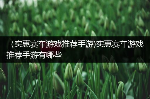 （实惠赛车游戏推荐手游)实惠赛车游戏推荐手游有哪些